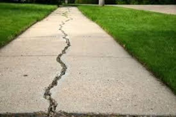 Cracks in the sidewalk