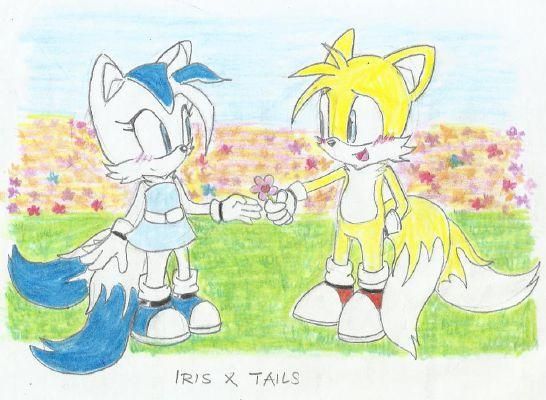 love flies high (Tails X OC)