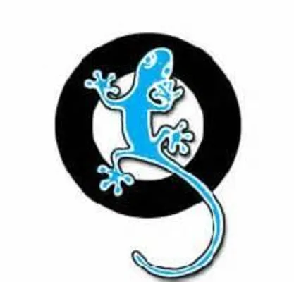 The Big Book of Qfeasters Pets The Big Book of Qfeasters Pets