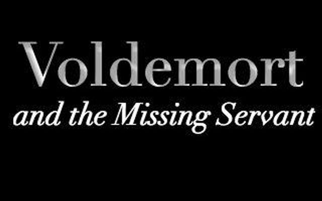 Voldemort and the Missing Servant