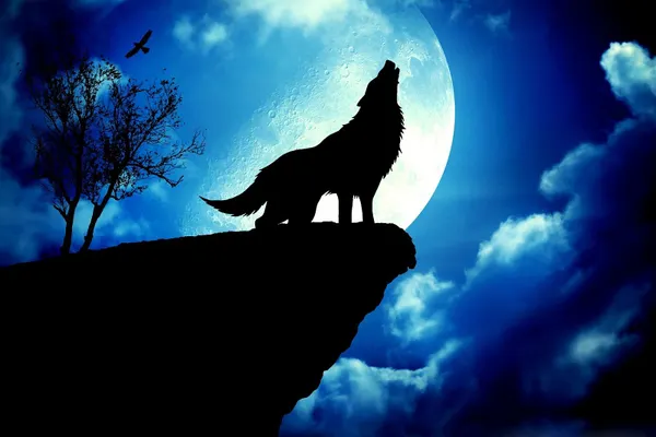 Moon Wolf Moon Wolf