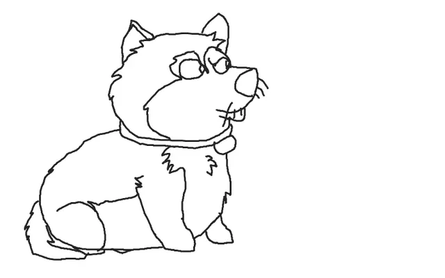 A few things you may not know about Wolfie A few things you may not know about Wolfie