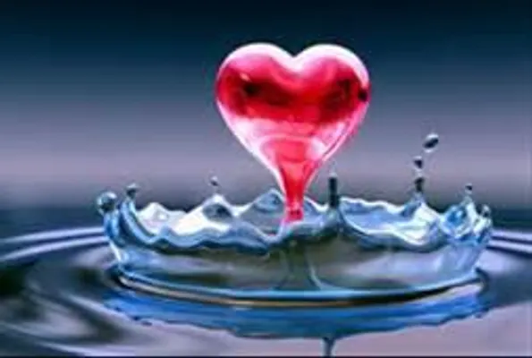 Does anyone need any advice on something in there life? I can help I'm pretty good about giving advice and I know you don't want to come to a total stranger for help but it might be better. I would love to hear your input, problems, and your activities going on in your life. Go ahead and post Does anyone need any advice on something in there life? I can help I'm pretty good about giving advice and I know you don't want to come to a total stranger for help but it might be better. I would love to hear your input, problems, and your activities going on in your life. Go ahead and post