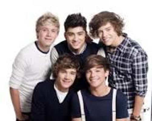 which is your favourite one direction member? Who is ur fav 1d member. Do u like niall, louis, zayn, harry or liam.