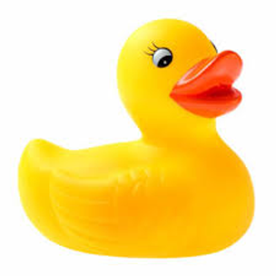 What is the function of a rubber duck? What is the function of a rubber duck? If you're a muggle (unlike me #wizard) answer this.