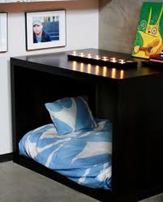 What do you think about this bed? I think its so cool! What dog would like this bed?