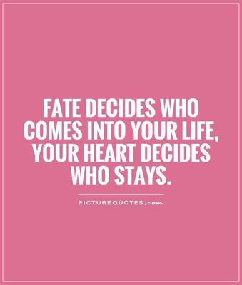 To what extent do you shape your own destiny, and how much is down to fate?