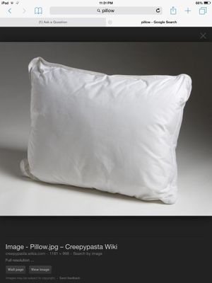 What do you think of this pillow? I wanted to know what people thought about this pillow! Comment below!