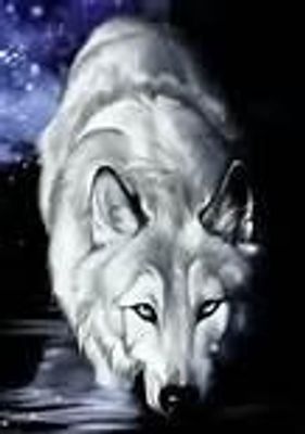 Does anyone here play Wolf Quest??? I love wolf quest and I want to rp but no one seems to be on the multiplayer