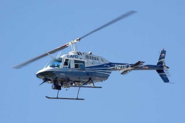 Can bird strike cause helicopter crash?