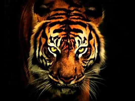 Should I battle Brooke? She always wants me to fight her and she Billy's me and my parents friends say its a good way to end our rivalry so should I have the eye of the tiger or back down?