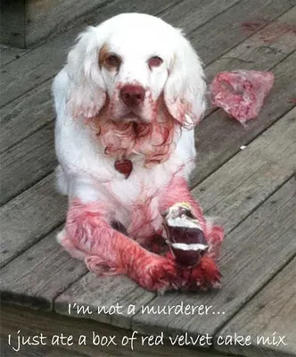 What's the worst injury you've ever had? What's the worst injury you've ever had?
