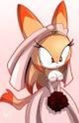 Who will be in Jade and manics wedding? ok, so Jade said she want @SapphiretheHedgehog and Sonia (manic sister), and Crystal (jades twin sis) to be her 3 maids of honor, @DestinytheLion and @PikachuKitty, and @TailsLover AND Sally, Miley (Tails's twin sis), Nicole, and Bunnie to be brides maids. Sonic and Tails will be Duo Best Men since they are Manic's brothers, Knuckles and Shadow will be the ring bearers, and Amy and Cream will be the Flower Girls. does this sound good to u guys? And if u want to be  guest there then say so in the comments. THX!    -From: Jade and Manic (bride and groom)