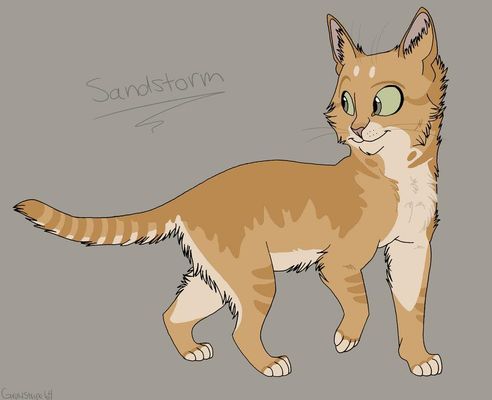 Do you like Sandstorm? She is from Warrior cats.