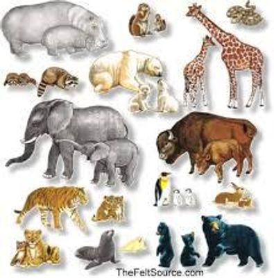 What animal do you think you are? I want to see of what people think of themselves as animals! Also can you please comment below on what animal you think I am because I don't know what animal I am!