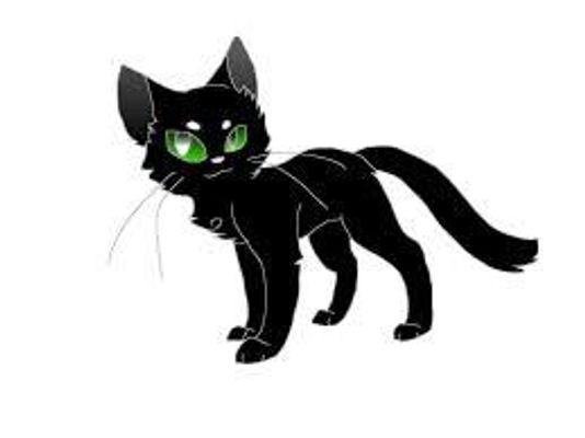 In the book where Hollyleaf died do you think she should stay alive or stay dead? I would rather have her alive she is my fave warrior cat & I would never want her dead but I need your opinions if you want her dead or alive?