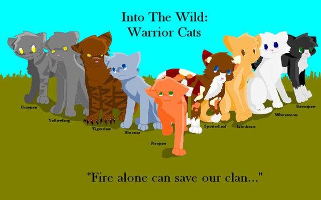 What is the appropriate age for the "Warrior" series by Erin Hunter? Please tell minimum age and maximum age. e.g. 7-10, 10-15