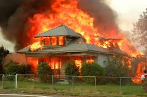 what would you do if your house was burning and you and your family along with pets were in the house? I would you get them out first and leave your pets, get the pets first and them family, get only yourself out and then encourage the others for getting out. question number 14