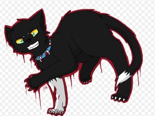 What do you think of Scourge the cat? So, I think of him as, well, I don't really want to share my feelings, were anyone can really see them. But, wen I say Scourge, I mean Scourge from warriors.