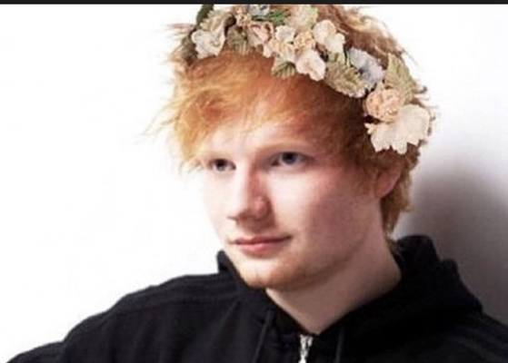 opinion on ed How do you feel about my princess aka ed sheeran , be honest