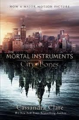 Have you read the Mortal Instruments series?