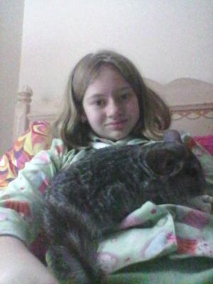 what do ya think on my chinchilla? Her name is  daisy she has a son and her mate passed away.