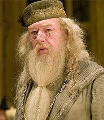 what do you think about dumbledore?! well he's the head master but I don't like him