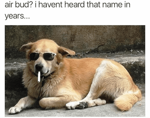 guys do you like the, airbud? i haven't heard that name in years. meme?