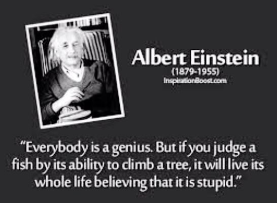 What's the stupidest thing you've heard? I don't know to be honest.Im not as interesting as all of you,so yeah.So what's the stupidest thing you've heard?