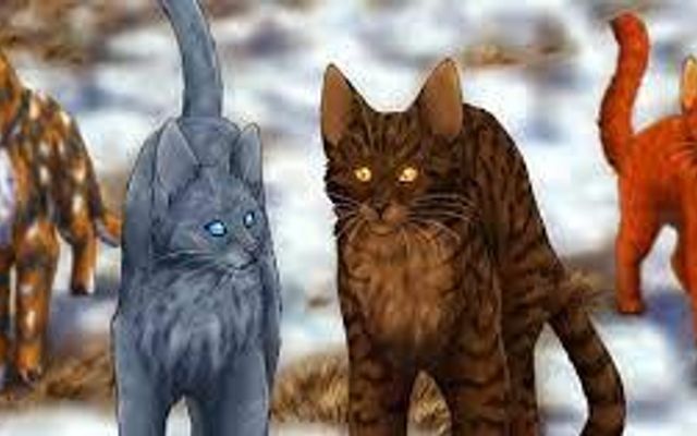 What was the ship you wanted in Warrior Cats? Of course you didn’t get that ship. Of course. But mine has to be..don’t judge me.. cinderxfire. And mistyxfire…