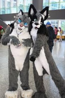 What do you think of Furries? I have no hate towards them, i think there pretty cool, but im more on the gamer side of things. What are your thoughts on them?