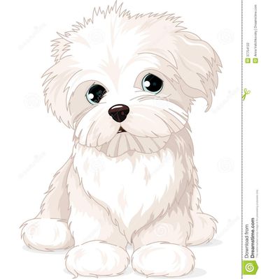 Can a maltese (pet) fight with stray? please tell me. i have a doubt cause ppl say it's fragile then can it survive dog attacks?