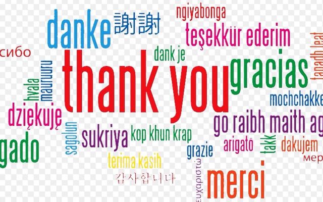 What are you thankful for? Me:I'm thankful for anime,video games,books,tablets,phones,netendo, Pokemon,my followers,music,glasses,wifi,school(sometimes),animals,food- ?:What about the people in your life? Me:Oh,what?Uh,yeah,yeah,whatever gets you up in the morning. (P.S:ITS NOT CHRISTMAS YET SO DONT YOU DARE HANG THOES LIGHTS OR CUT TREES DOWN! Thank you :) )