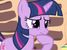 My Little Pony Fim Questions