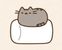 Pusheen Cat Quiz