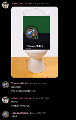 Silly Discord Screenshots's Photo