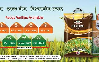 Nirankari Seeds-Best online seed stores in India