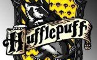 Hufflepuff Page