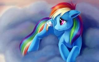 rainbow dash memebership