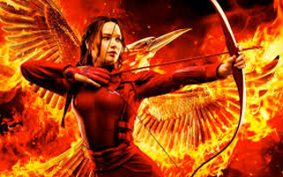 Hunger Games Fans (1)