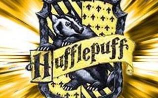 Hufflepuff Common Room (1)