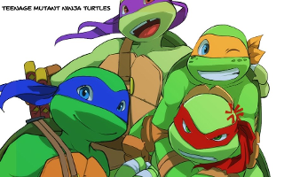 Ask the Ninja Turtles