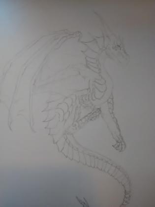 My dragon art page?'s Photo