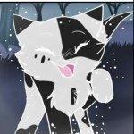 <c:out value='I luv Warrior Cats'/>