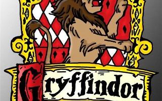 Gryffindor Common Room (1)