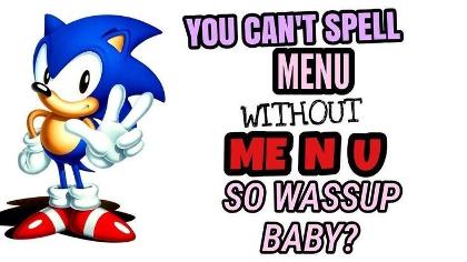 Sonic the Hedgehog's Photo