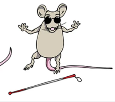 blind mouse 2#