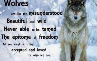 Calling all Wolf Lovers!