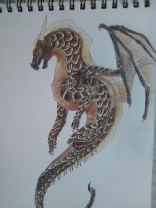 My dragon art page?'s Photo