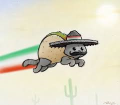 <c:out value='My entry. TACOCAT!!!'/>